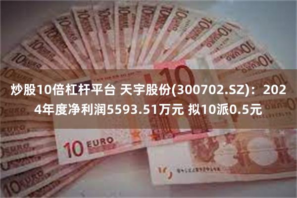 炒股10倍杠杆平台 天宇股份(300702.SZ)：2024年度净利润5593.51万元 拟10派0.5元