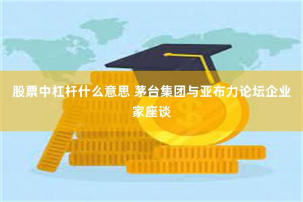 股票中杠杆什么意思 茅台集团与亚布力论坛企业家座谈