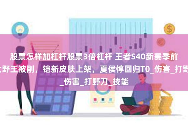 股票怎样加杠杆股票3倍杠杆 王者S40新赛季前瞻，三大野王被削，铠新皮肤上架，夏侯惇回归T0_伤害_打野刀_技能