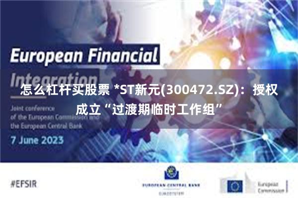怎么杠杆买股票 *ST新元(300472.SZ)：授权成立“过渡期临时工作组”