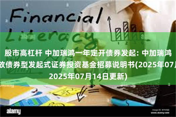 股市高杠杆 中加瑞鸿一年定开债券发起: 中加瑞鸿一年定期开放债券型发起式证券投资基金招募说明书(2025年07月14日更新)