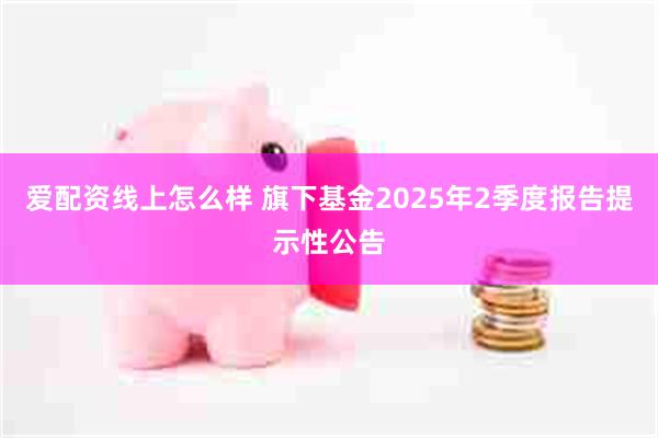 爱配资线上怎么样 旗下基金2025年2季度报告提示性公告