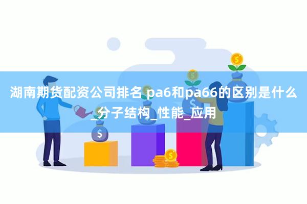 湖南期货配资公司排名 pa6和pa66的区别是什么_分子结构_性能_应用