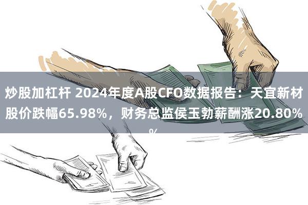 炒股加杠杆 2024年度A股CFO数据报告：天宜新材股价跌幅65.98%，财务总监侯玉勃薪酬涨20.80%