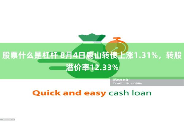 股票什么是杠杆 8月4日鹿山转债上涨1.31%，转股溢价率12.33%