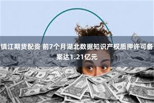 镇江期货配资 前7个月湖北数据知识产权质押许可备案达1.21亿元