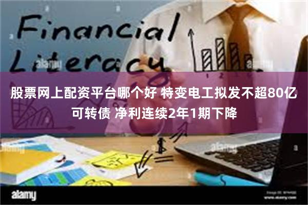 股票网上配资平台哪个好 特变电工拟发不超80亿可转债 净利连续2年1期下降
