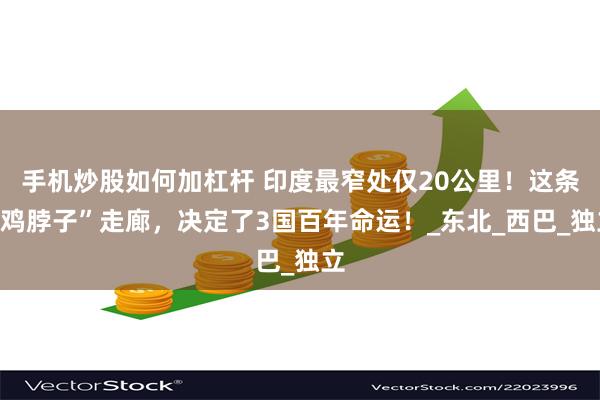 手机炒股如何加杠杆 印度最窄处仅20公里！这条“鸡脖子”走廊，决定了3国百年命运！_东北_西巴_独立