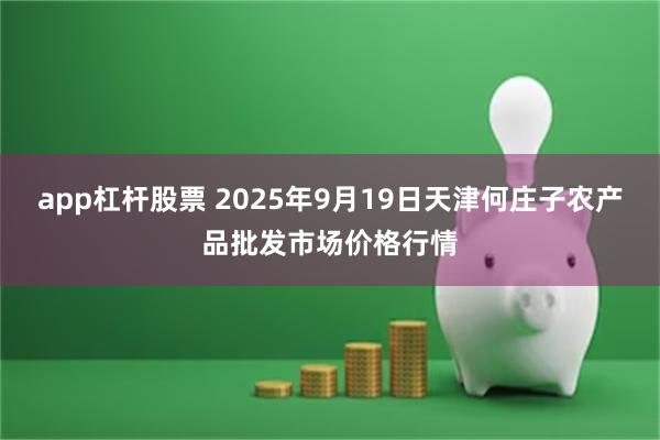 app杠杆股票 2025年9月19日天津何庄子农产品批发市场价格行情